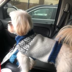 Meet your Posher, Glen